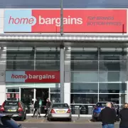 Home Bargains' £4 Magnetic Insect Screen Offers Bug-Free Summer Solution