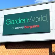 Home Bargains' £6 Self-Watering Planter Makes Gardening 'Effortless'