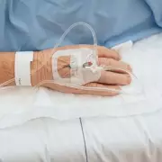 Hospital Admissions Double as UK's 'Most Dangerous Spider' Population Explodes