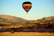 Hot Air Balloon's Emergency Backyard Landing in California Praised as 'Masterful'
