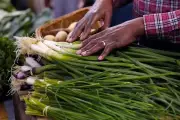How to Store Produce to Make It Last Longer and Reduce Waste
