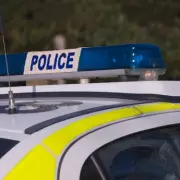 Human Skull Found Hanging from Tree in North London Woodland