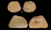 Ice Age Dice Discovery Rewrites History of Gambling and Human Culture