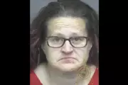 Indiana Woman Charged for Allegedly Stealing Sick Neighbour's Electricity