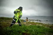 Indigenous Groups in Australia and Alaska Team Up to Track Migratory Shearwater