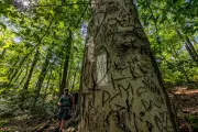 Indigenous Writer Confronts Ego and Erasure on the Appalachian Trail