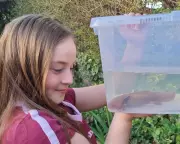 Injured axolotl rescued from Welsh river by 10-year-old girl