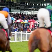 Irish Grand National 2026: Full Horse Numbers and Runners List