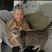 Jane Fallon's Cancer Battle Update: Surgery and AI Death Hoax Condemnation