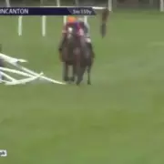 Jockey Harry Cobden Escapes Injury After Horse Crashes Into Railings at Wincanton
