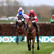 Jockey Paul Townend Explains Fatal Injury to Gold Dancer After Aintree Win