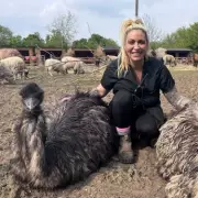 Jodie Marsh Denies Assault Charge in Neighbour Dispute Over Animal Farm