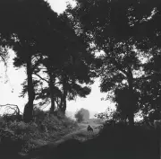 Johnnie Shand Kydd: From YBA Parties to Dog-Walk Photography