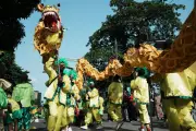 Lagos Fanti Carnival Draws Thousands Celebrating Afro-Brazilian Heritage
