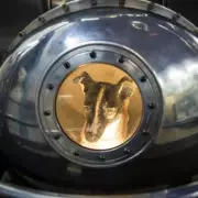 Laika's Tragic Space Journey: The Soviet Stray Dog Who Never Returned