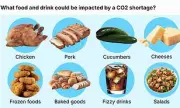 Leaked Report Warns of UK Food Shortages Due to Iran War Impact on CO2 Supplies