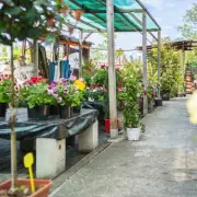 Lincolnshire Garden Centre Enters Administration After 30 Years of Operation