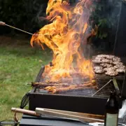 London Fire Brigade Issues Urgent Barbecue Safety Warning for Spring