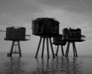 London's Last Wilderness Review: Eccentric Thames Estuary Documentary Voyage
