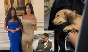 MAGA Influencers Clash With Delta Over Puppy Incident, Sparking Online Debate