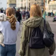 Manchester Named UK's Most Dog-Friendly City: Top 10 List Revealed