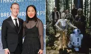 Mark Zuckerberg's Secret Bunker Inspired by Star Wars Ewok Village