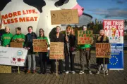 Meat and Dairy Giants Accused of Widespread Greenwashing in New Study