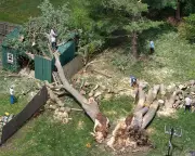 Midwestern US Faces Severe Thunderstorms and Tornado Threat, Millions Under Watch