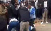 Migrant Brawls Erupt in Spain Amid Flawed Legalisation Process