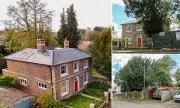 Millionaire Row Residents Triumph in Battle to Save Protected Yew Trees