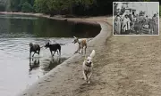 Minneapolis Dog Park Future Hinges on Sacred Native Land Claims