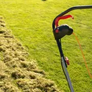 Monty Don's Simple Lawn Fix: Aerate for Moss-Free, Thicker Grass