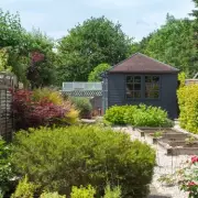 Monty Don's Urgent April Gardening Task: Plant Sweet Peas Now for Summer Blooms