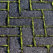 Moss-Free Patios for Just £3.30: A Safer Alternative to Pressure Washing