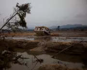 Mud-Rich Coastline Amplified 2011 Japan Tsunami's Destructive Force, Study Reveals