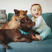 Mum of 3 Says Raising a Puppy Is Harder Than Having a Baby