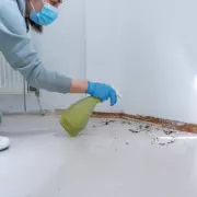 Natural Vinegar Spray Keeps Flies and Ants Away All Summer Long