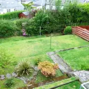 Neighbour's Tree Dispute Over Blocked Views at 'Forever Home' Settled