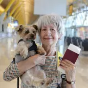 New EU Pet Travel Rules for British Residents from April 22, 2026