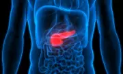 New Pancreatic Cancer Drug Elraglusib Doubles Survival Rates in Clinical Trial