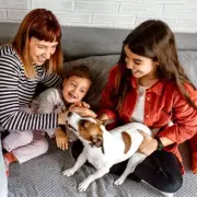 New Pet Rules for Renters in England from May 1: Vet Offers Advice