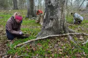 Newport Volunteers Plant Trees to Boost Canopy in Underserved Areas