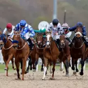 Newsboy's ITV4 Racing Tips: The Lost King Napped for Newcastle Glory