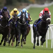 Newsboy's Tuesday Racing Tips: Daizen and Grabajabba Lead Selections