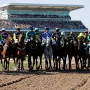 Newsboy's Ultimate 2026 Grand National Guide: Expert Ratings and Top Six Predictions