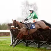 Newsboy's Wednesday Racing Tips: Cranachan Nap at Catterick, Annie Express at Ludlow