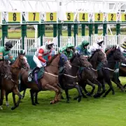 Newsboy's Wednesday Racing Tips: The Good Biscuit Nap at Catterick