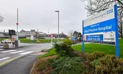 NHS Trust Bans Common Phrases Like 'Raining Cats and Dogs' to Avoid Offence