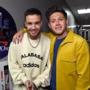 Niall Horan Reflects on Liam Payne's Death, Asks 'Could I Have Done More?'