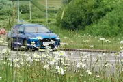 No Mow May: How Letting Lawns Grow Boosts UK Wildlife and Biodiversity